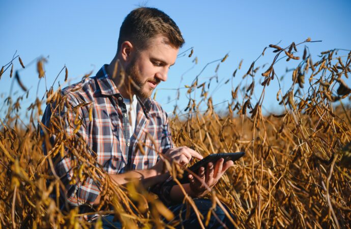 Bio-Lebensmittel Landwirtschaft 2024: Nachhaltigkeit, Herausforderungen und Chancen